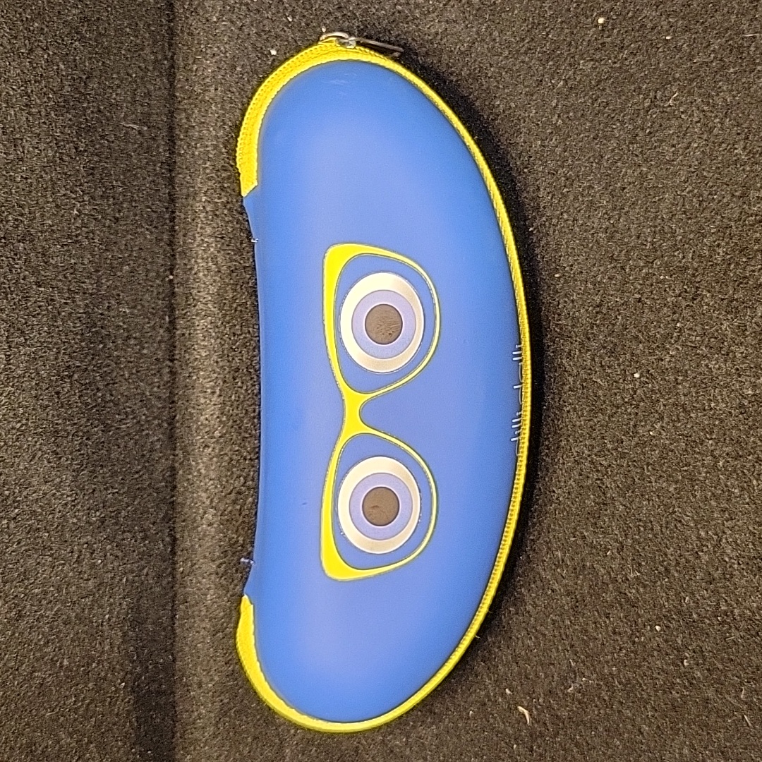 Dilli Dalli Glasses Case